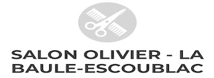 https://www.festivalbridgelabaule.com/wp-content/uploads/Archive Logos Rectangles/salon olivier.jpeg